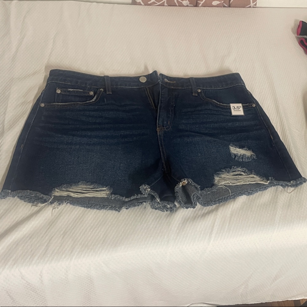 Time and Tru Dark Blue Jean Shorts